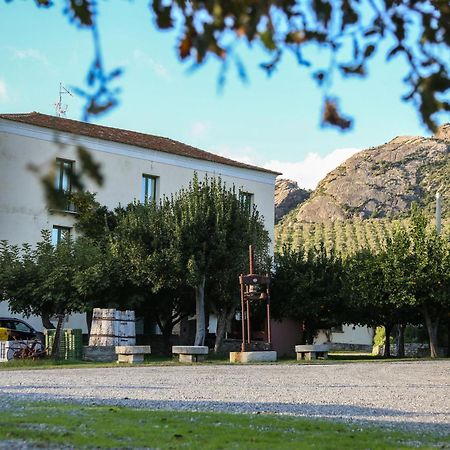 Barone Gr Macri Agriturismo Modi Gerace Zewnętrze zdjęcie