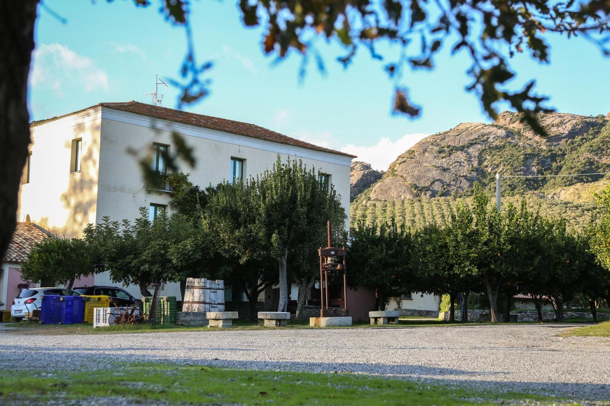 Barone Gr Macri Agriturismo Modi Gerace Zewnętrze zdjęcie