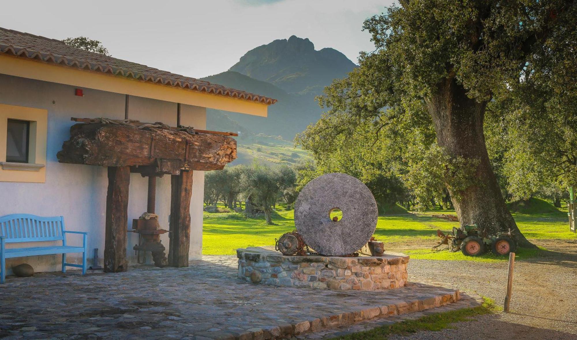 Barone Gr Macri Agriturismo Modi Gerace Zewnętrze zdjęcie