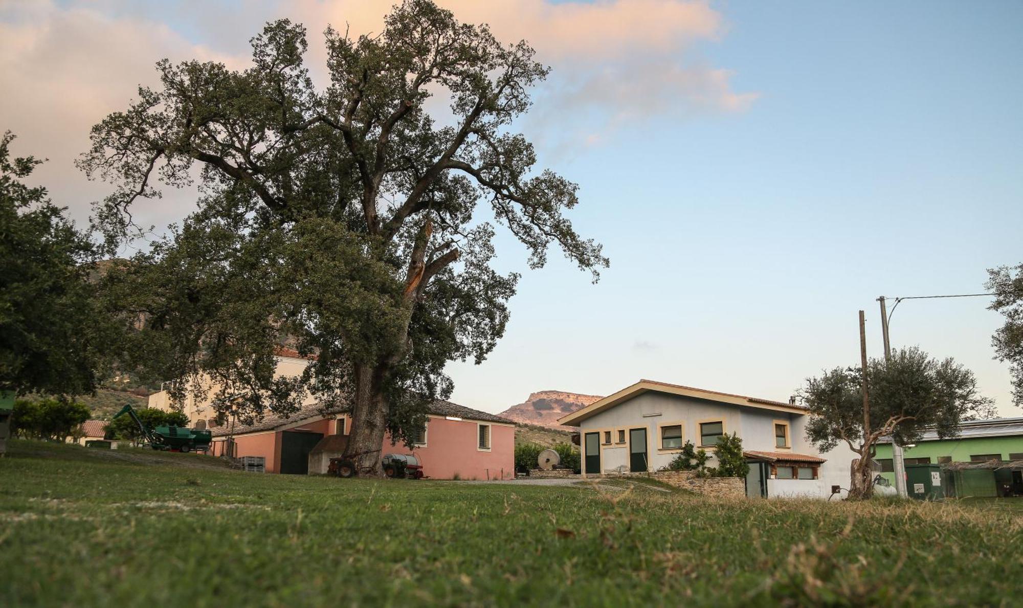 Barone Gr Macri Agriturismo Modi Gerace Zewnętrze zdjęcie