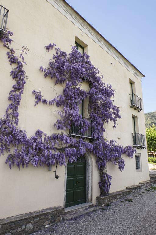 Barone Gr Macri Agriturismo Modi Gerace Zewnętrze zdjęcie